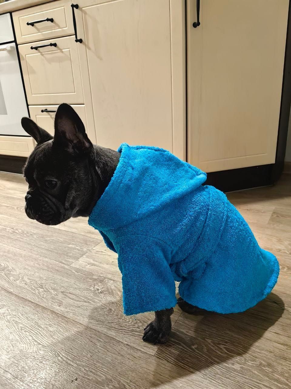 снимок Халат для собак махровый голубой от магазина BIO-TEXTILES ОПТ