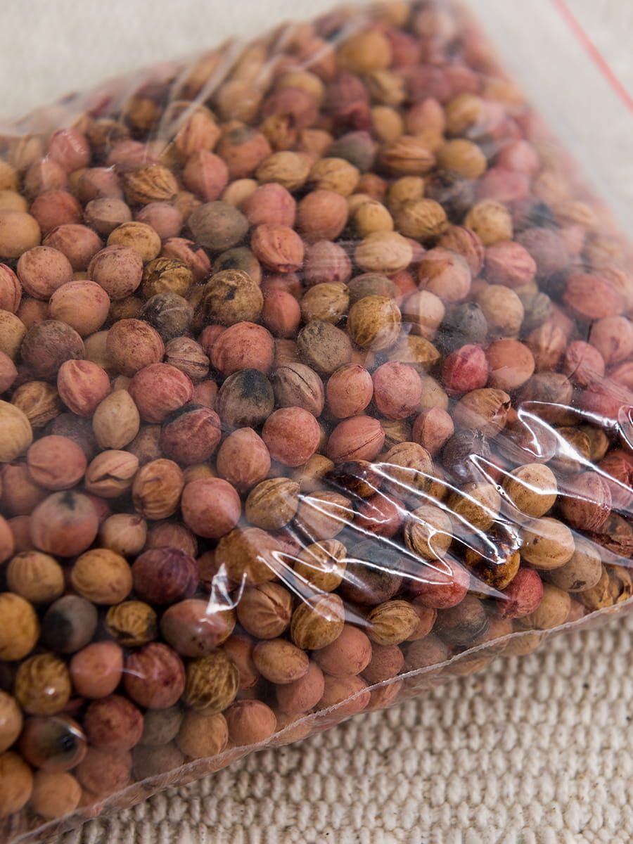 снимок Наполнитель для подушек вишневая косточка. Фасовка 0,5 кг от магазина BIO-TEXTILES ОПТ